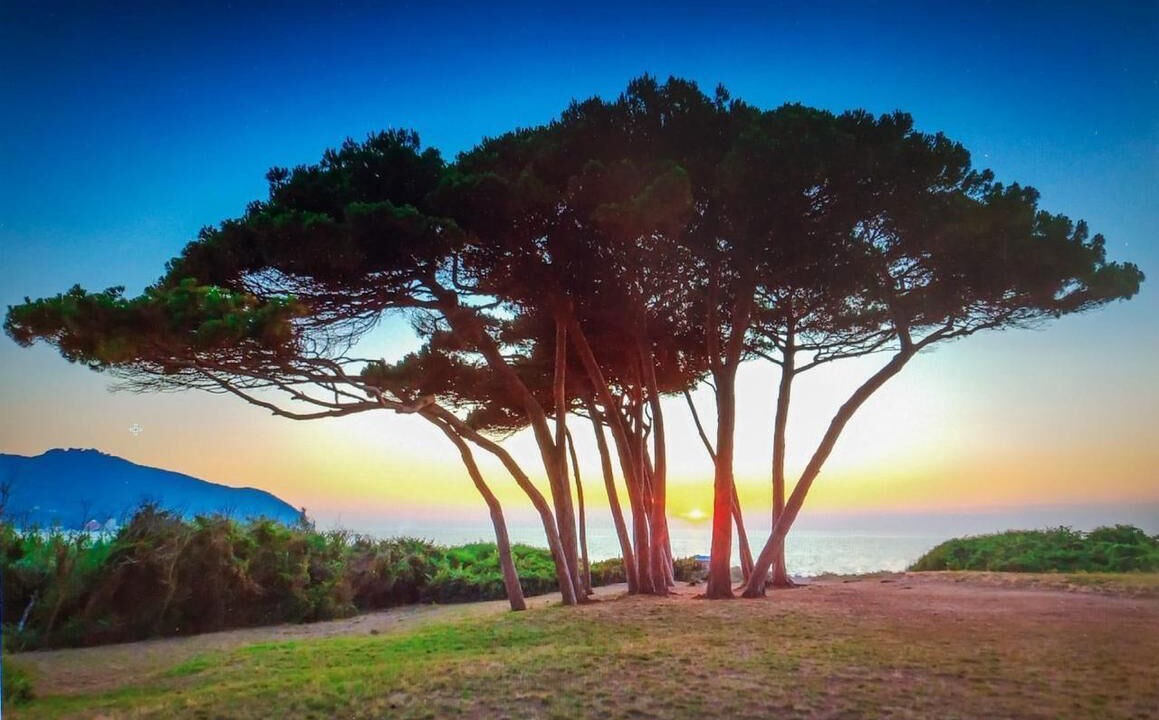 Photo of Outdoor in Monteverdi Marittimo