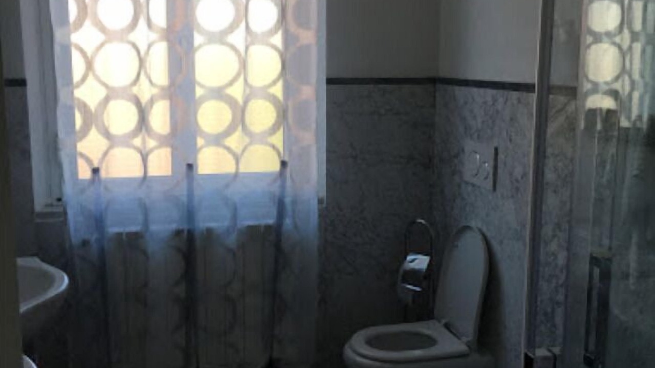 Photo of Others in Carrara
