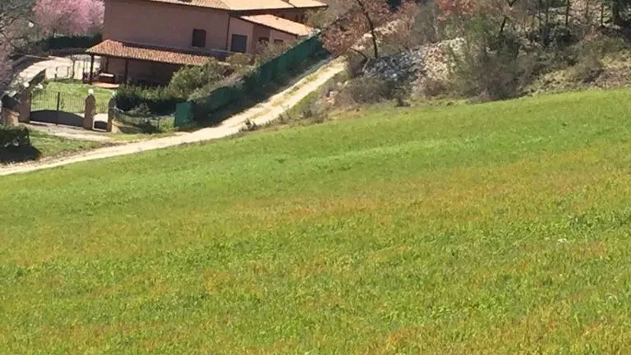 Photo of Others in Colpetrazzo