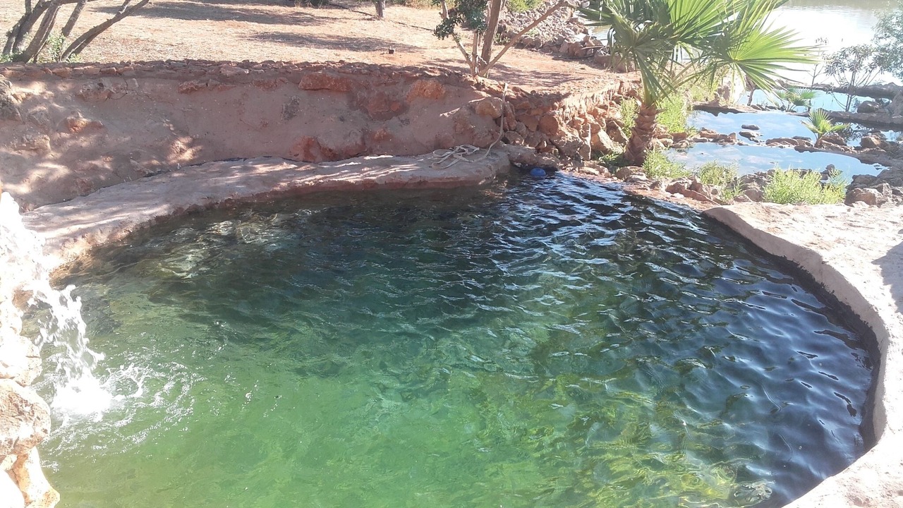 Photo of Outdoor in Espiche