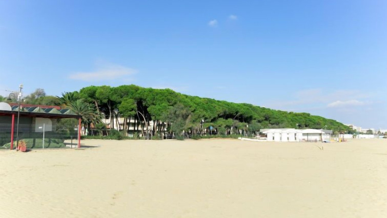 Photo of Others in Alba Adriatica