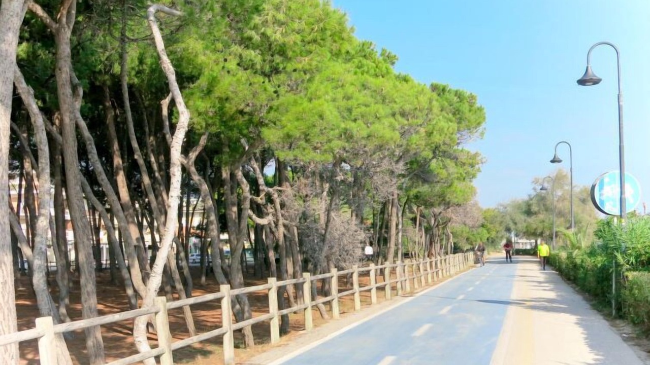 Photo of Others in Alba Adriatica