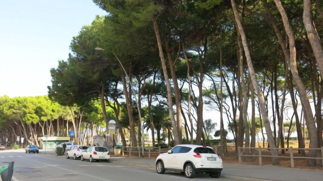 Photo of Outdoor in Alba Adriatica
