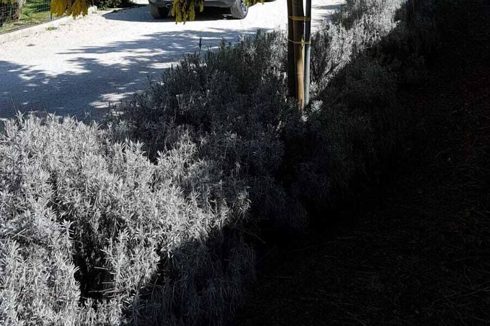 Photo of Outdoor in Cisterna di Latina