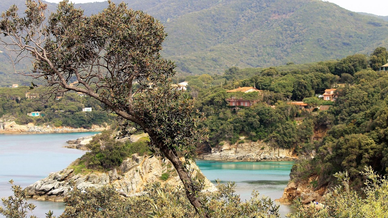 Photo of Others in Bagno-Sprizze