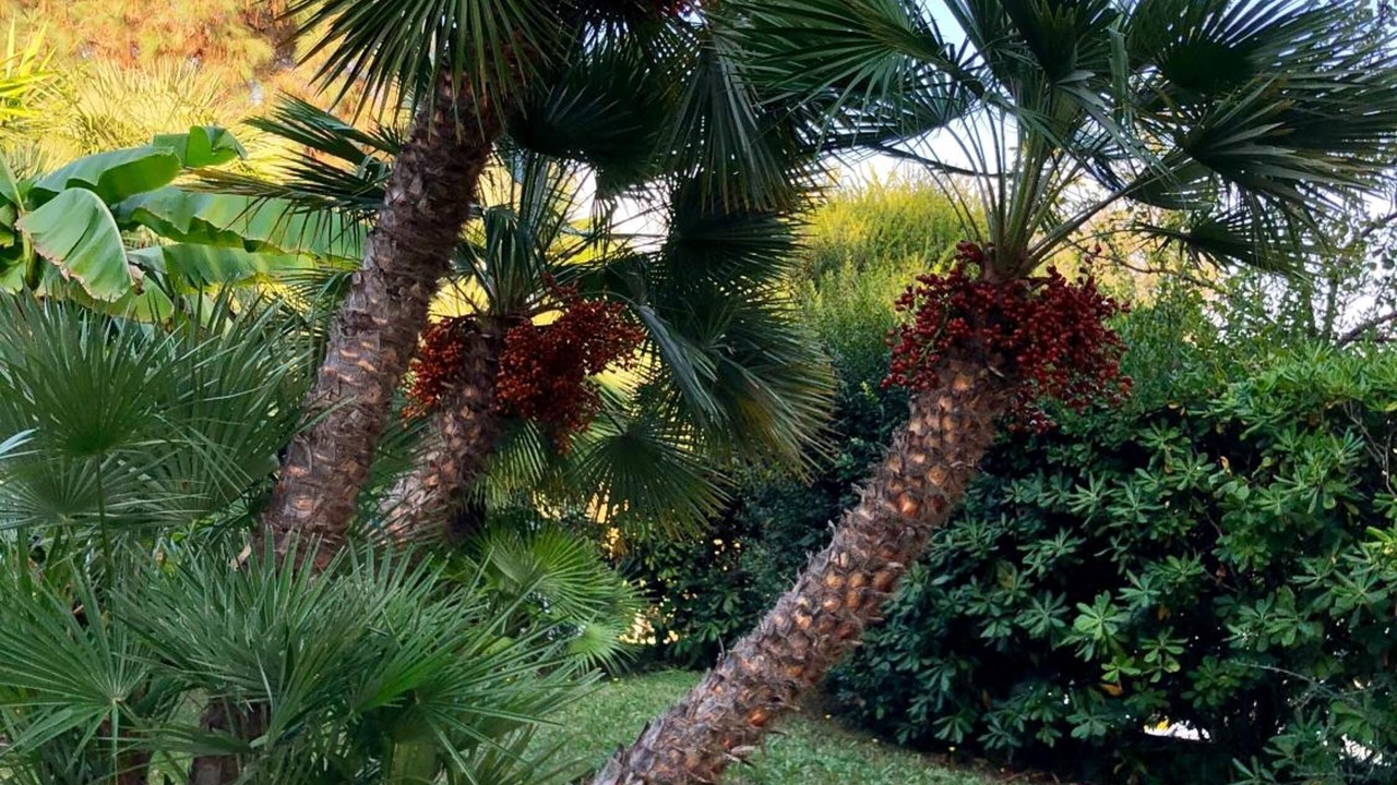 Photo of Outdoor in Campo nell'Elba
