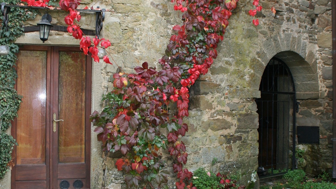 Photo of Outdoor in Pieve di Chio