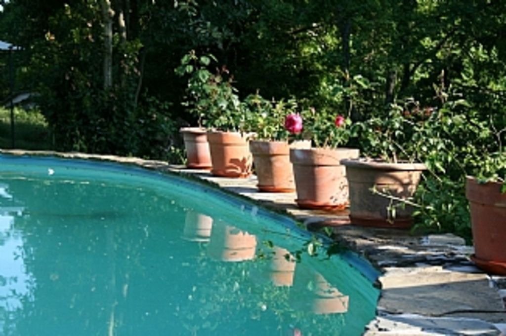 Photo of Outdoor in Pieve di Chio
