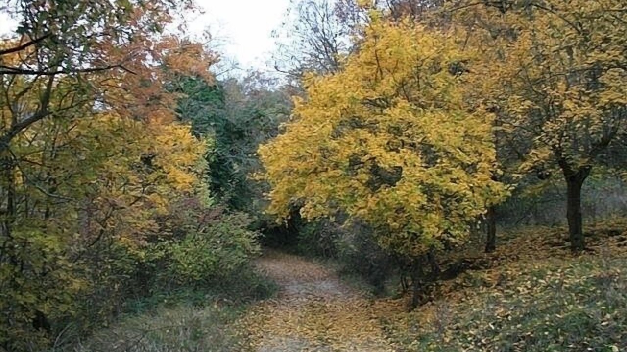 Photo of Outdoor in Pieve di Chio