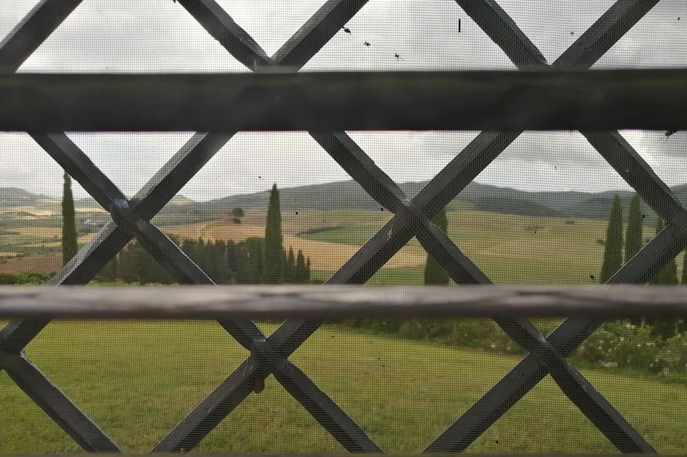 Photo of Outdoor in Bibbona