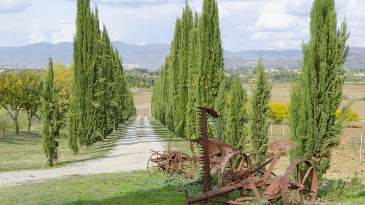 Photo of Outdoor in Fratticciola