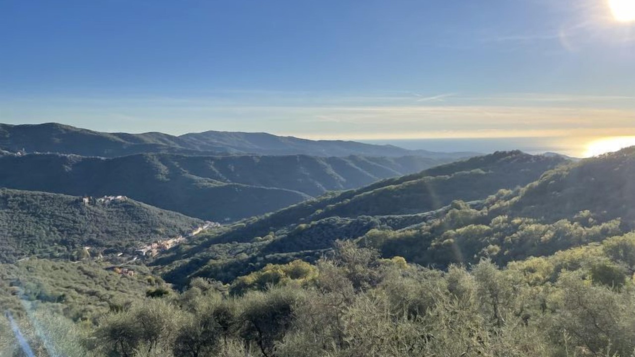 Photo of Others in Valloria