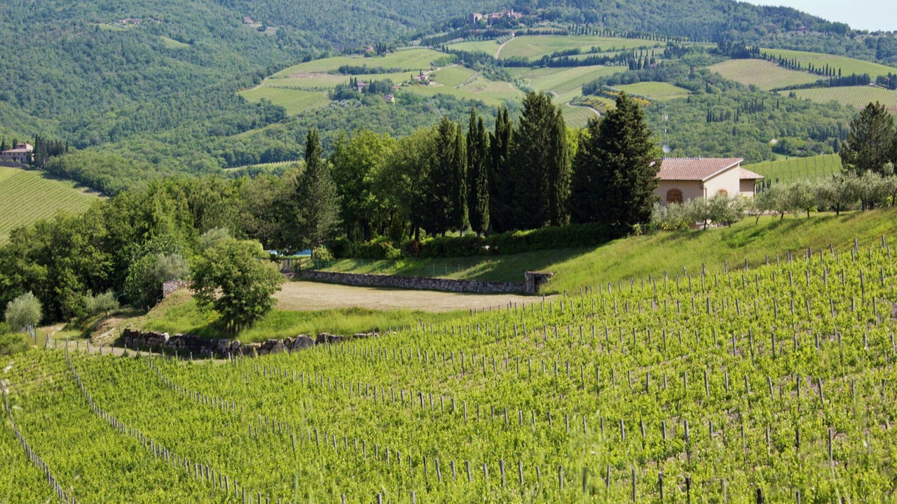 Photo of Others in Radda in Chianti