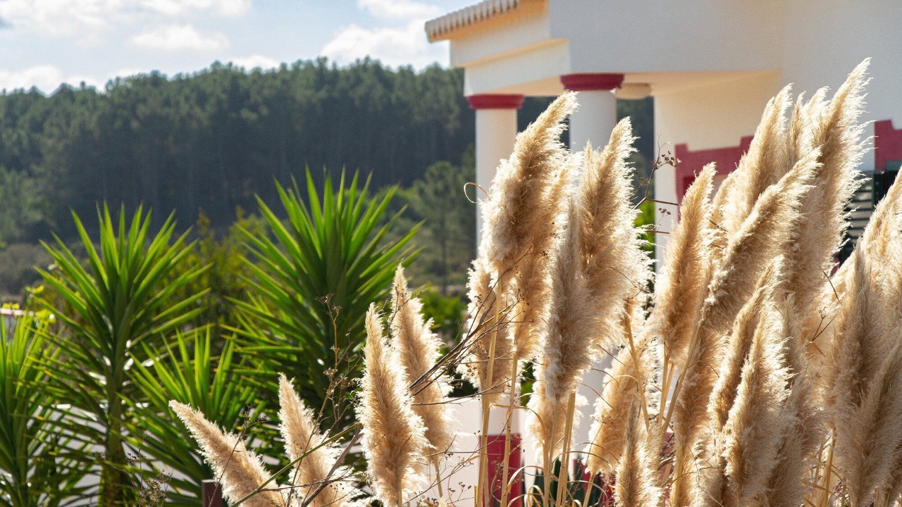 Photo of Outdoor in Aljezur