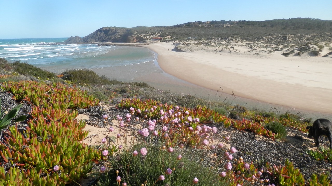 Photo of Others in Aljezur