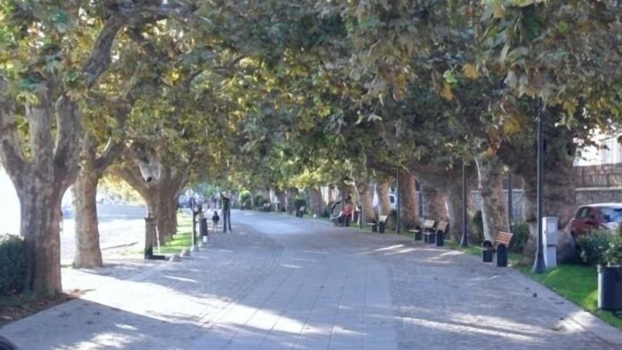 Photo of Outdoor in Lake Bracciano