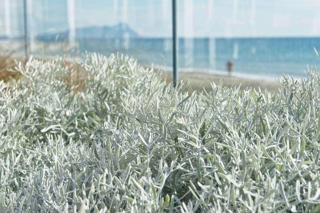 Photo of Outdoor in Lido di Capo Portiere