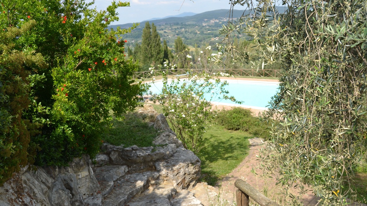 Photo of Outdoor in Amelia
