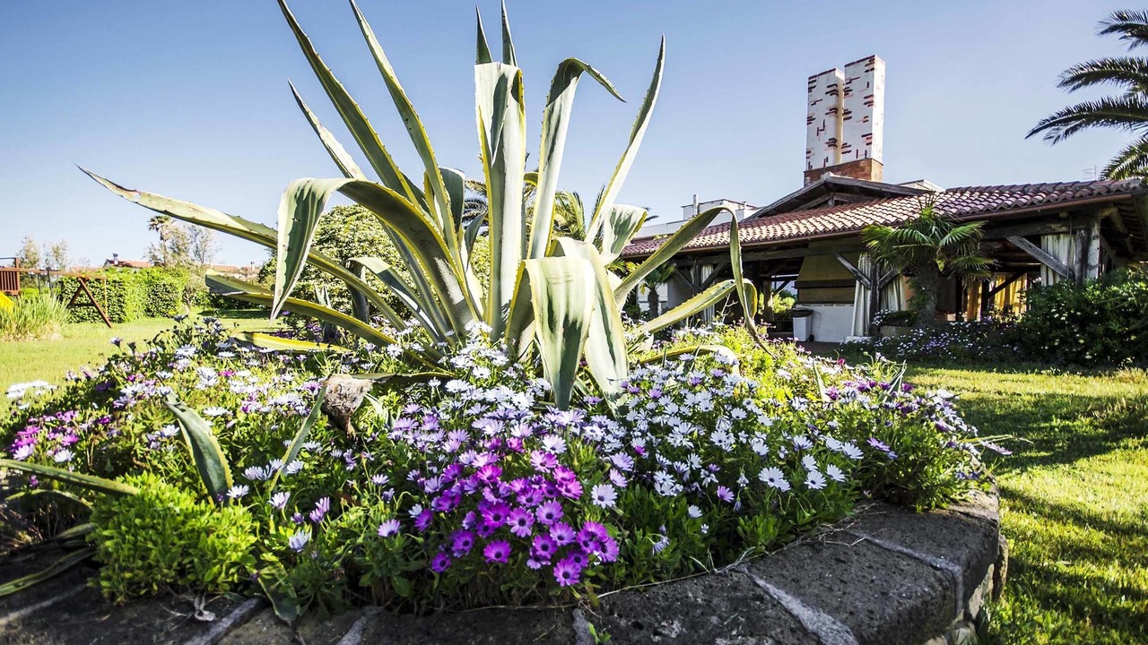 Photo of Outdoor in Tarquinia