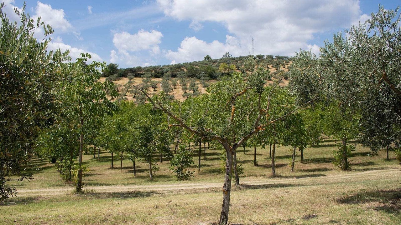 Photo of Outdoor in Bevagna