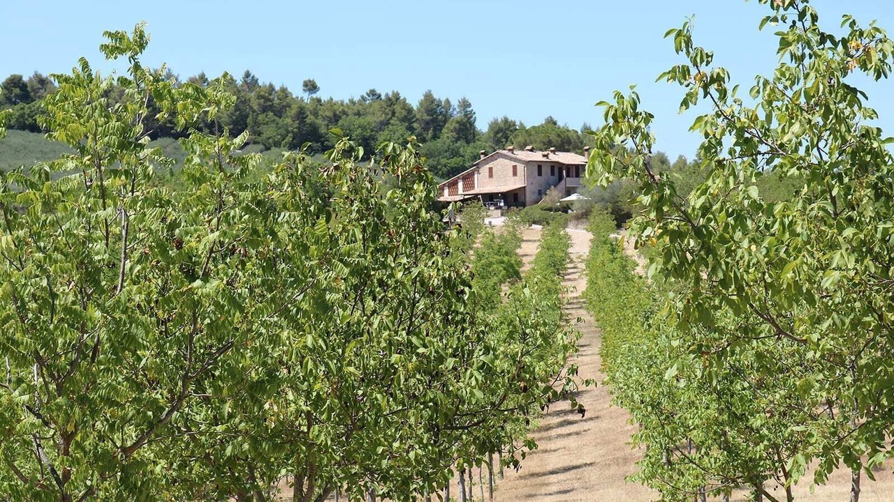 Photo of Outdoor in Bevagna