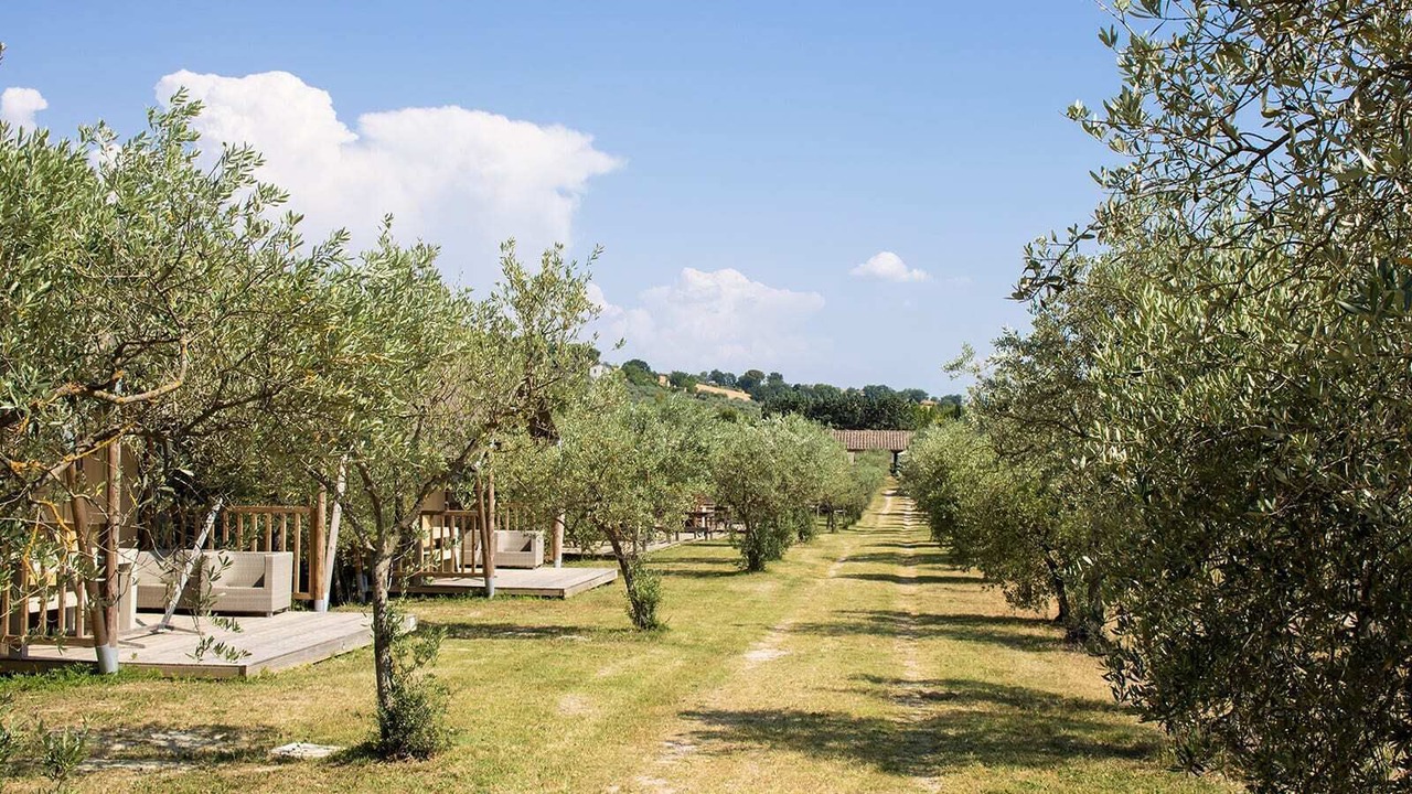 Photo of Outdoor in Bevagna