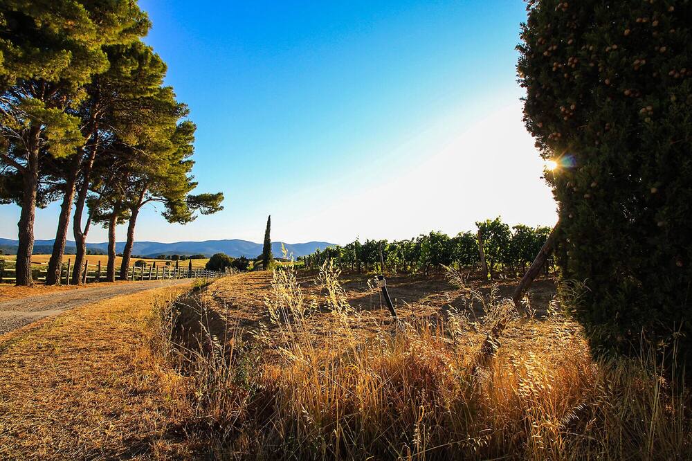 Photo of Outdoor in Magliano in Toscana