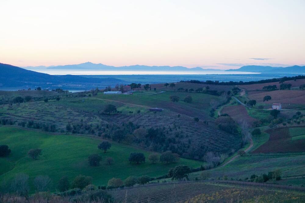 Photo of Others in Magliano in Toscana