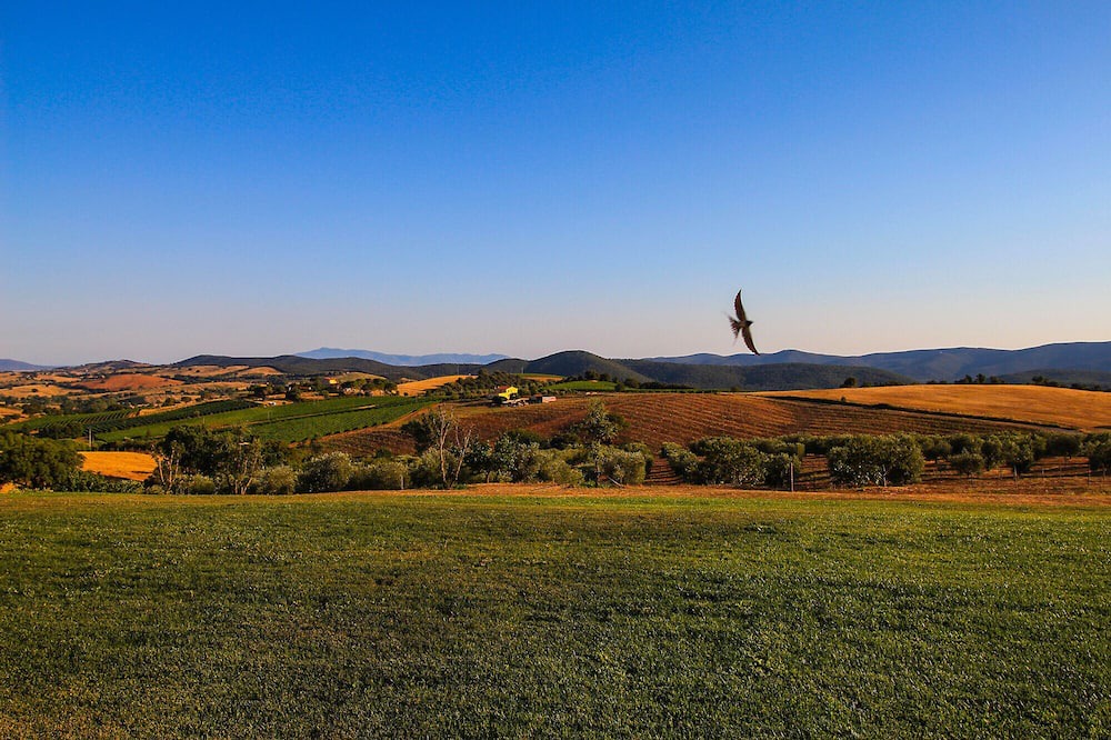 Photo of Others in Magliano in Toscana