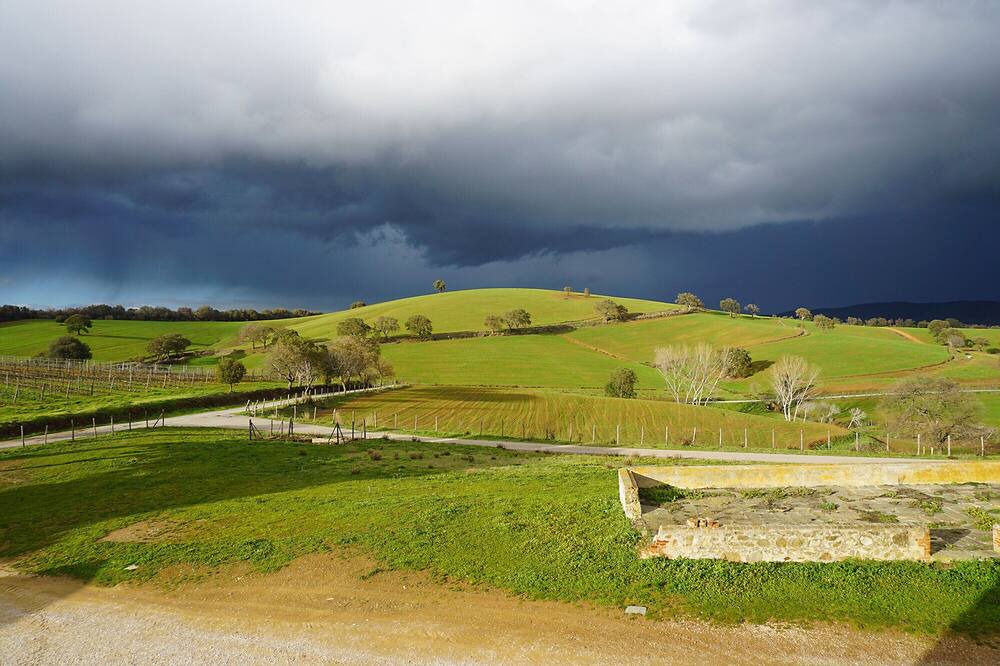 Photo of Others in Magliano in Toscana