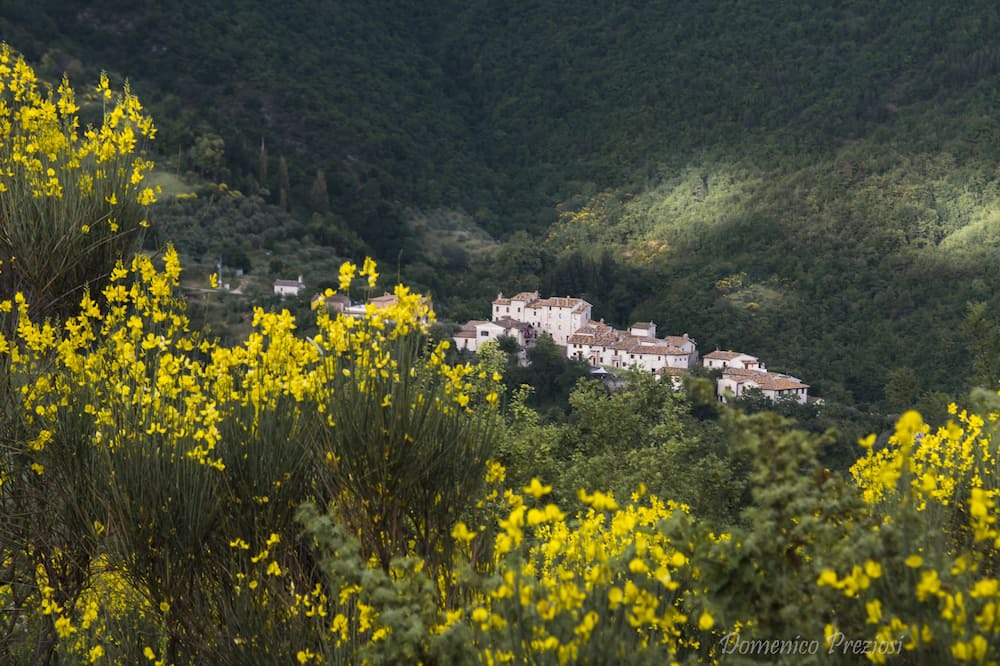 Photo of Outdoor in Valtopina