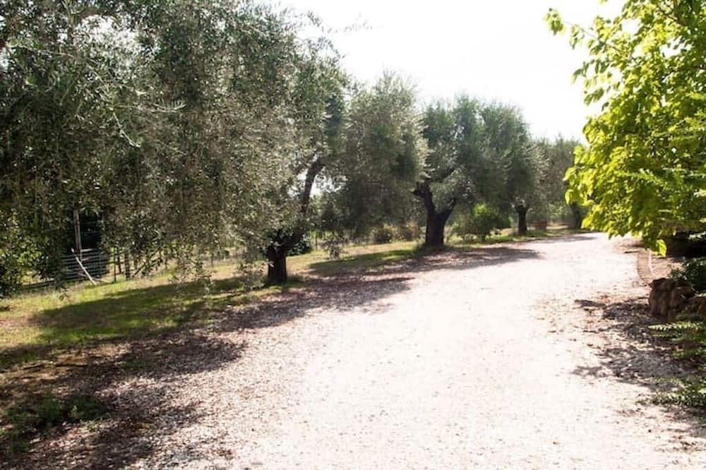 Photo of Outdoor in Formello