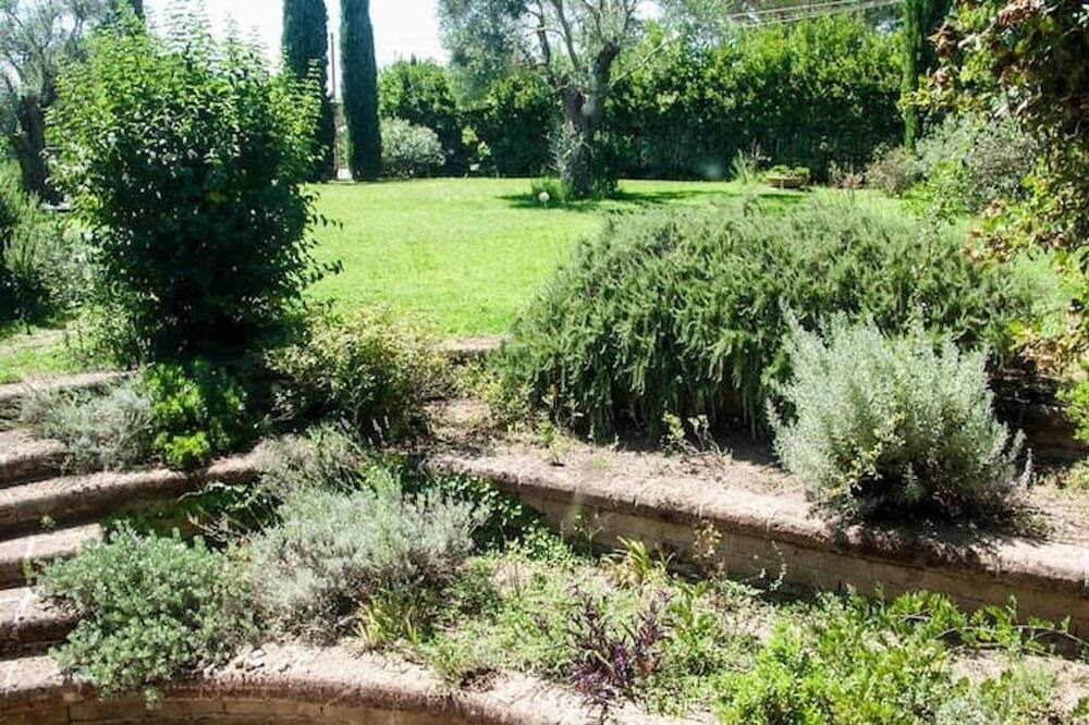 Photo of Outdoor in Formello