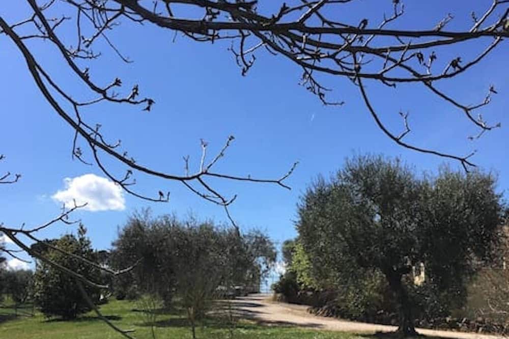 Photo of Outdoor in Formello