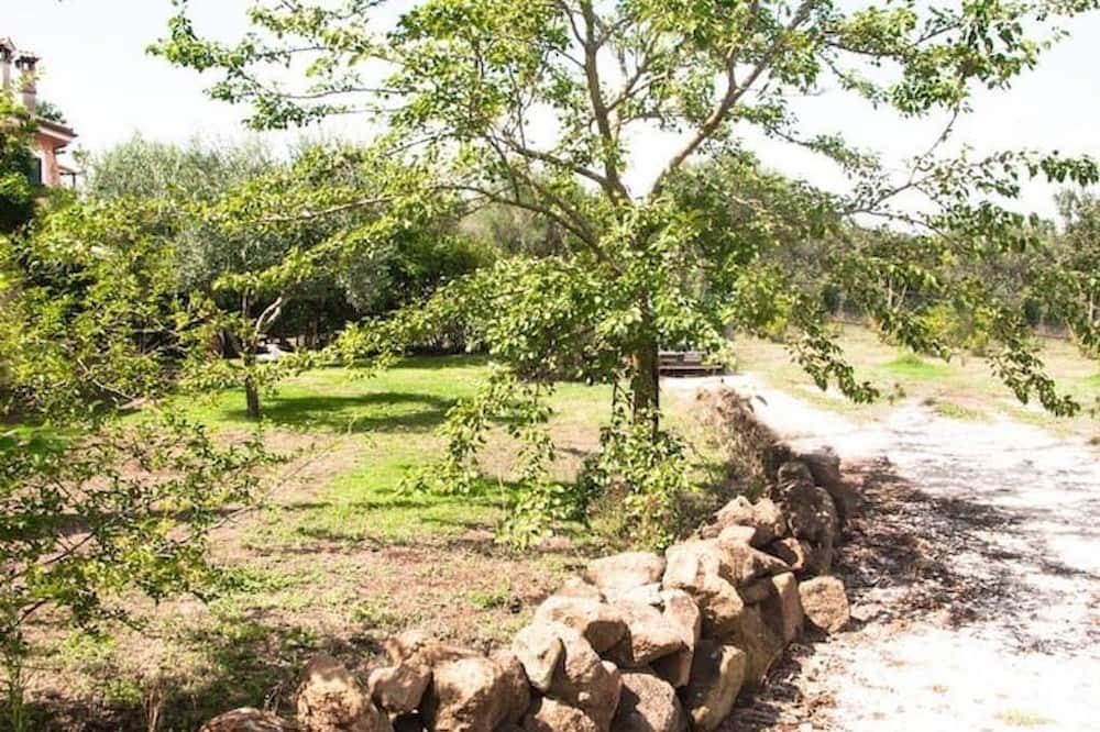 Photo of Outdoor in Formello