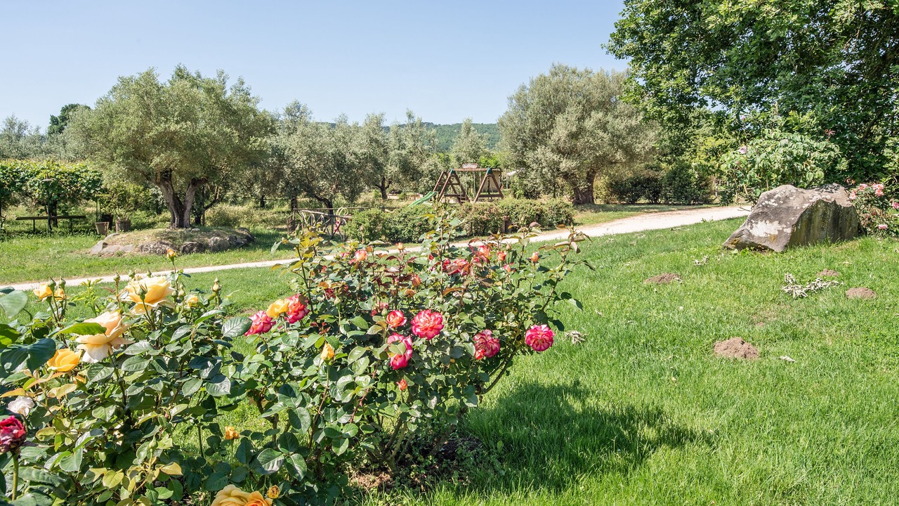 Photo of Outdoor in Sutri