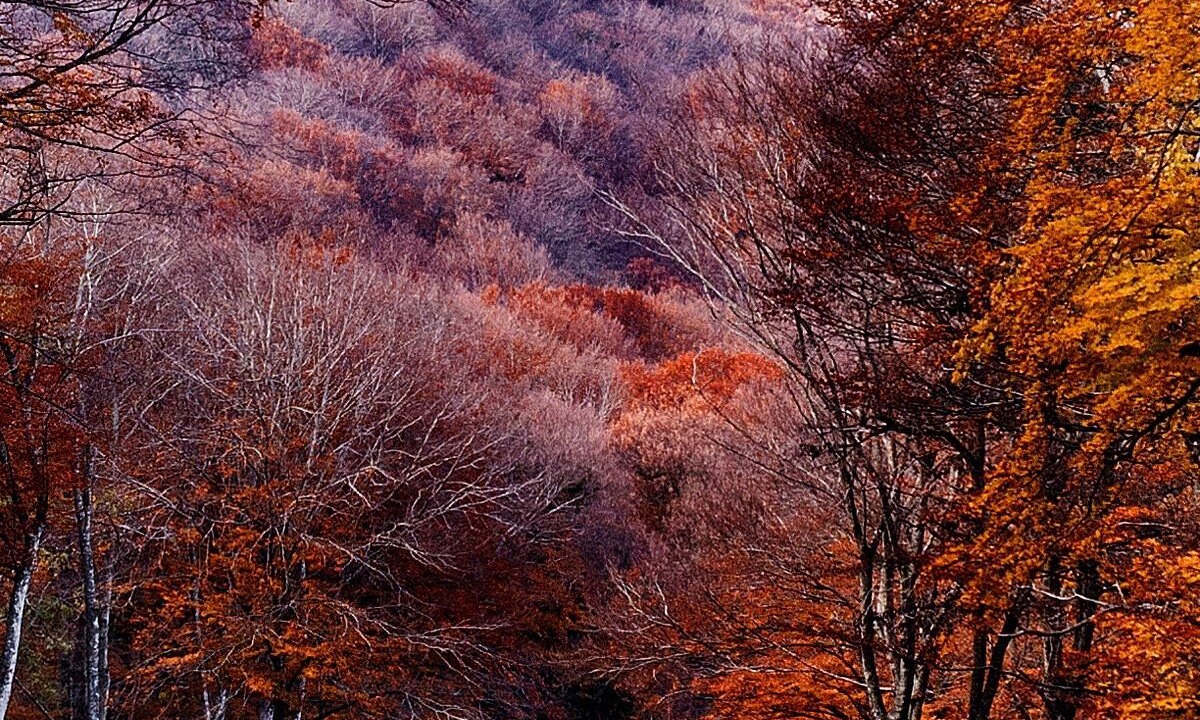 Photo of Outdoor in Ronciglione
