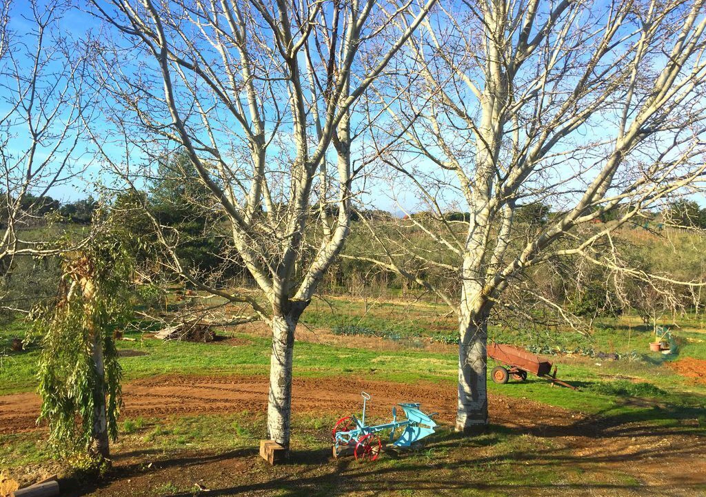 Photo of Outdoor in Cecina