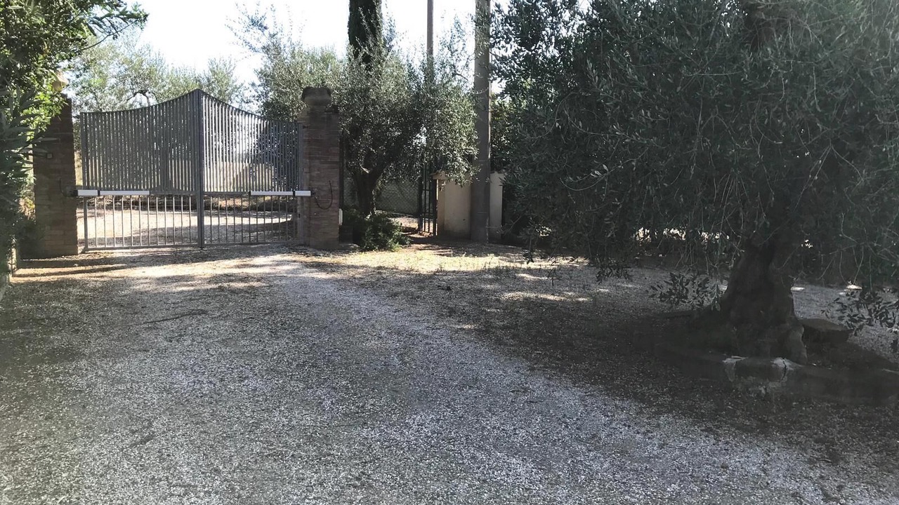 Photo of Outdoor in Cecina