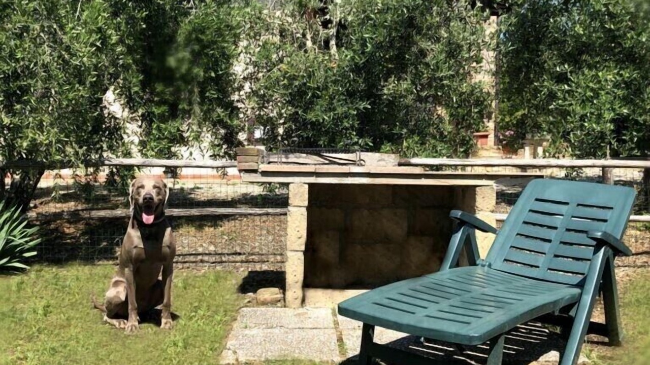 Photo of Outdoor in Cecina