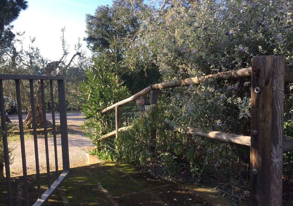 Photo of Outdoor in Cecina