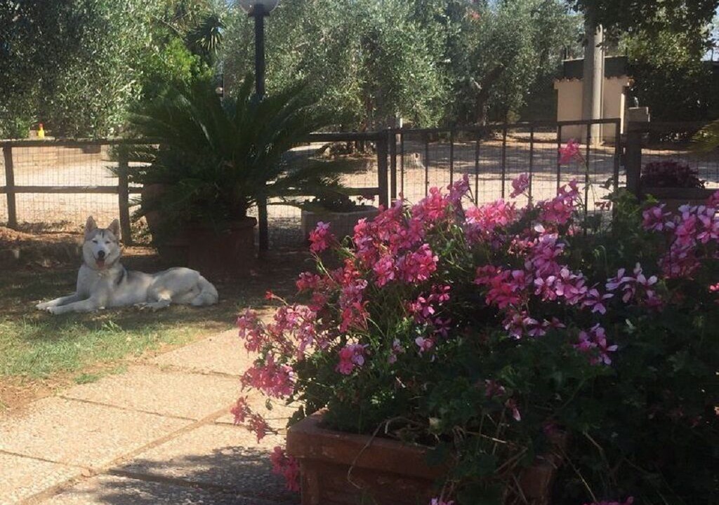 Photo of Outdoor in Cecina