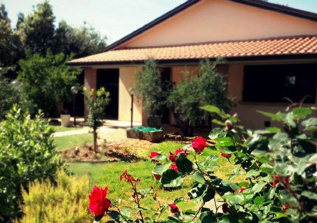 Photo of Outdoor in Cecina