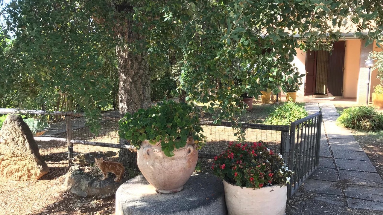 Photo of Outdoor in Cecina