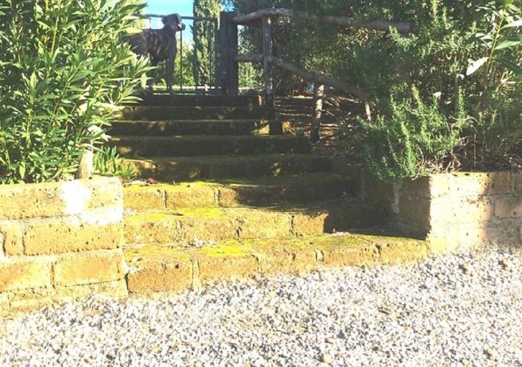 Photo of Outdoor in Cecina