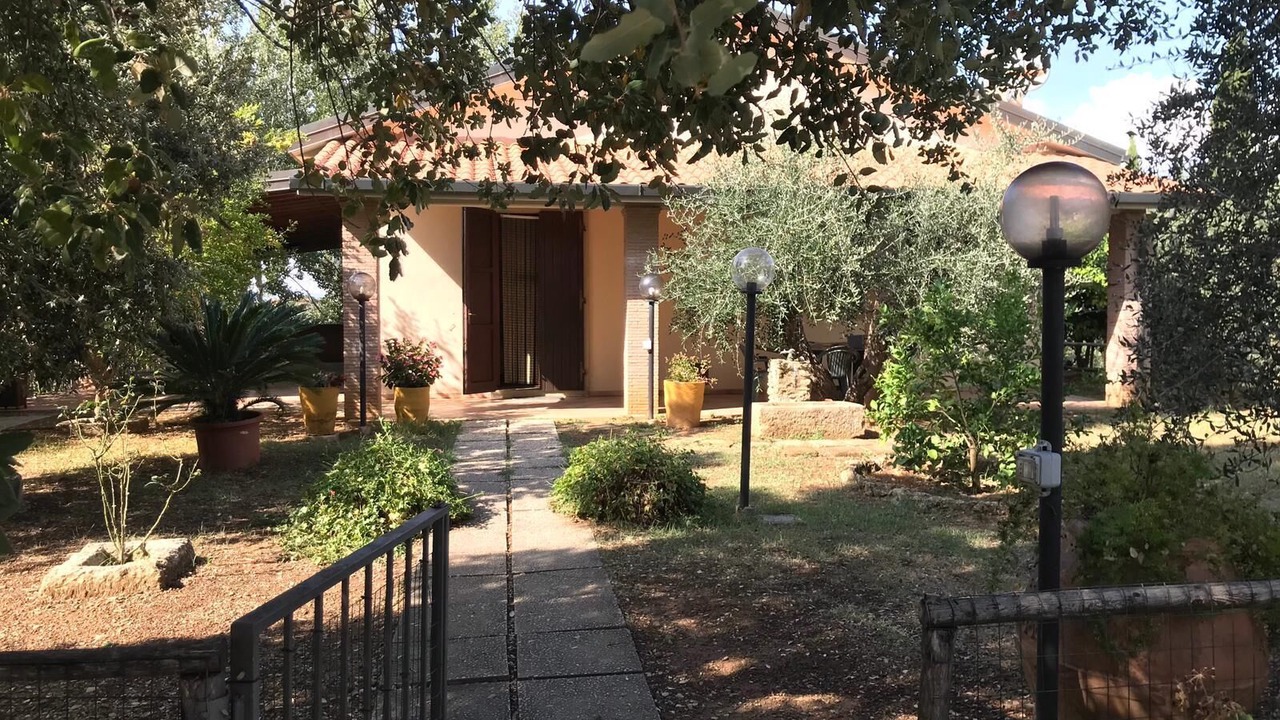 Photo of Outdoor in Cecina