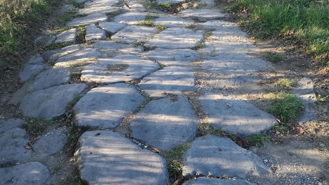 Photo of Outdoor in Castel Cellesi