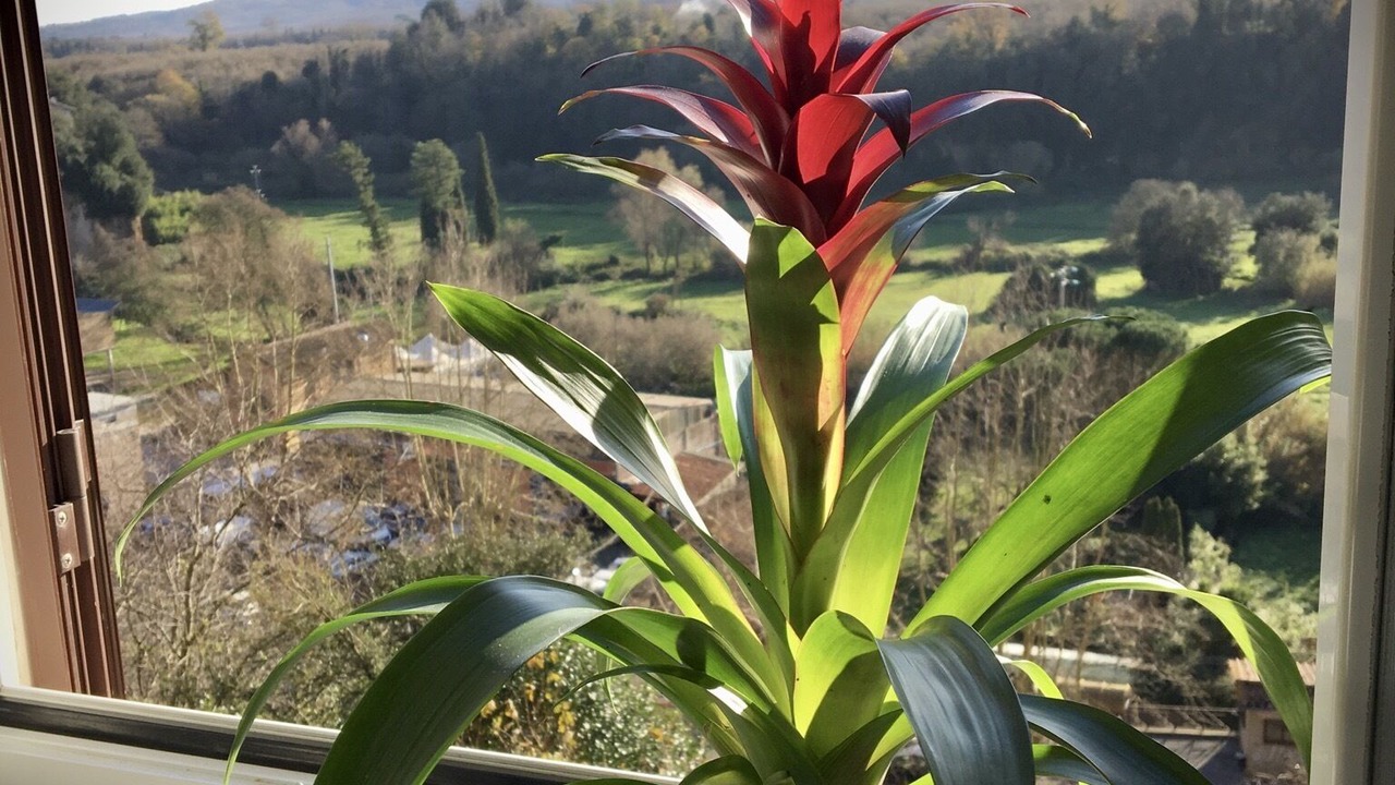 Photo of Outdoor in Sutri