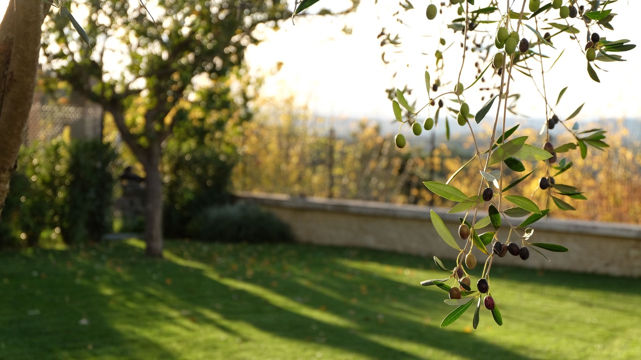 Photo of Outdoor in Montefalco