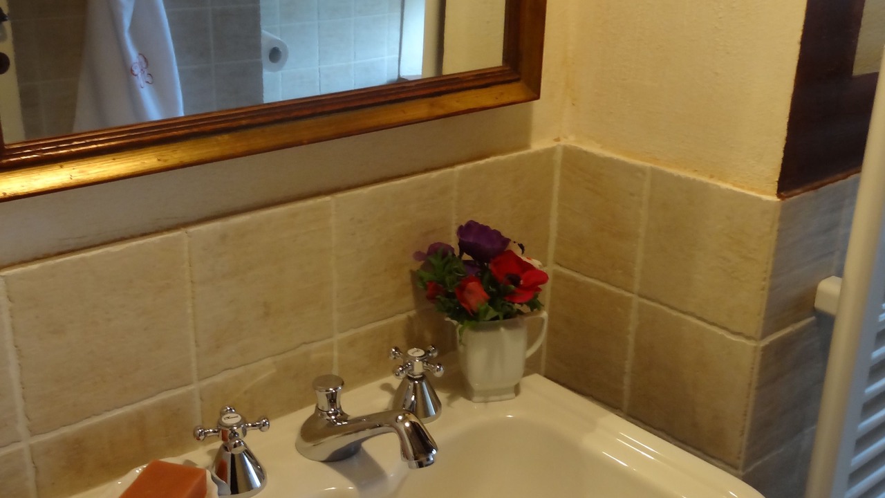 Photo of Bathroom in Amelia